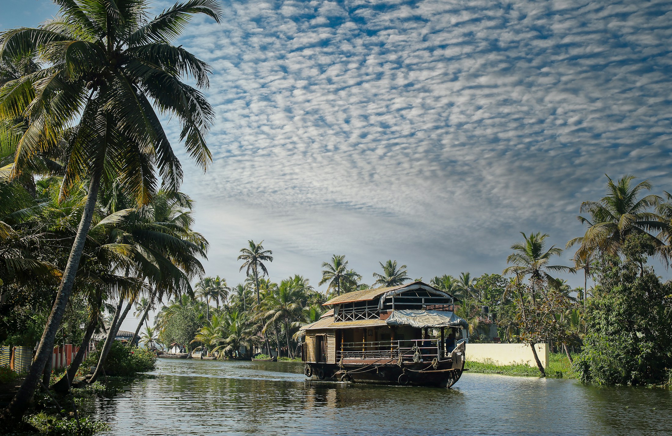 Houseboat on the palm-lined Alleppey backwaters